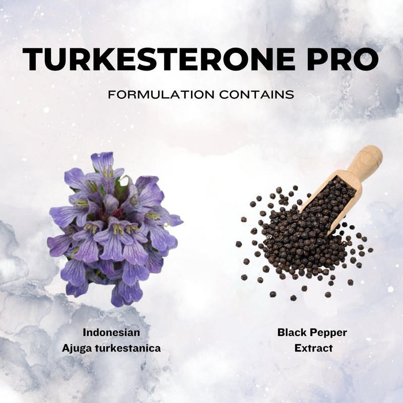 TURKESTERONE PRO | Ajuga Turkestanica Extract for Muscle Growth - a2glifestyle