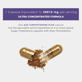 TURKESTERONE PRO | Ajuga Turkestanica Extract for Muscle Growth - a2glifestyle